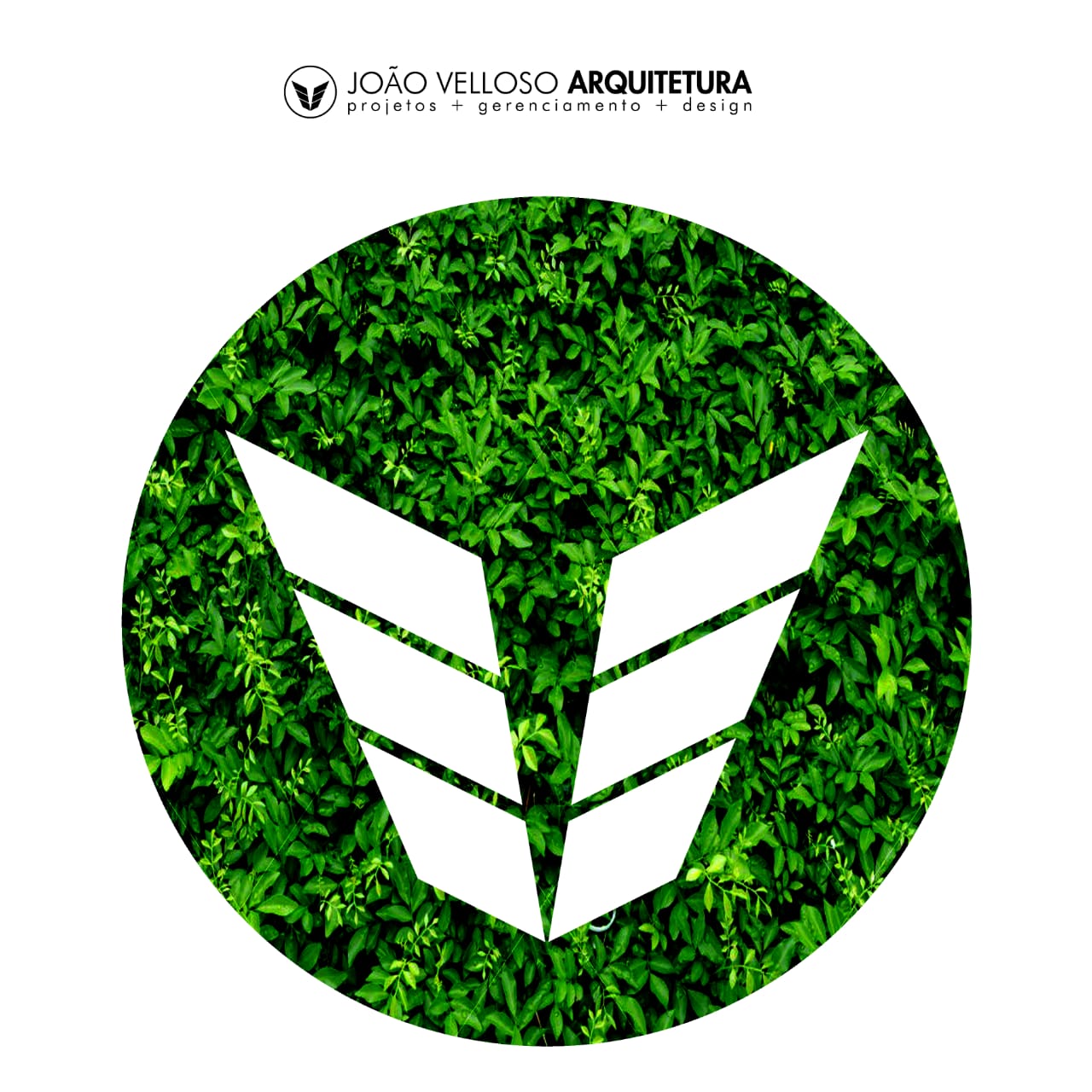 João Velloso Arquitetura